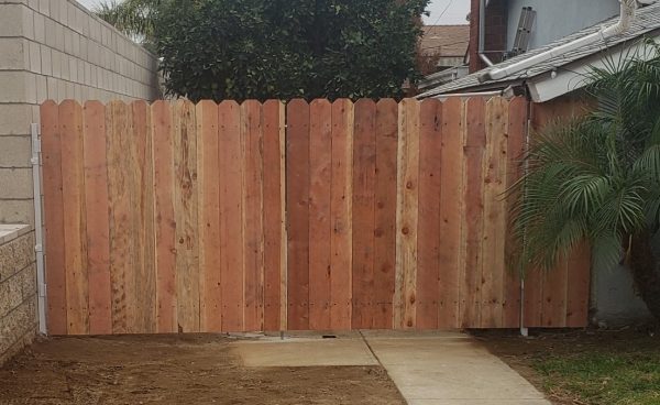 A wooden panel fence with a contrasting white frame, providing a secure and visually appealing boundary for a residential property.